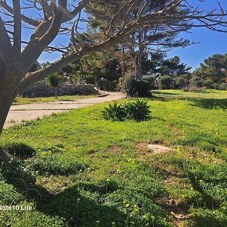 Villa Sogni Nel Blu Favignana Exterior foto