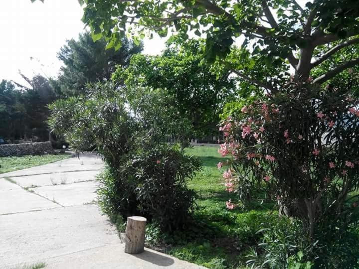 Villa Sogni Nel Blu Favignana Exterior foto