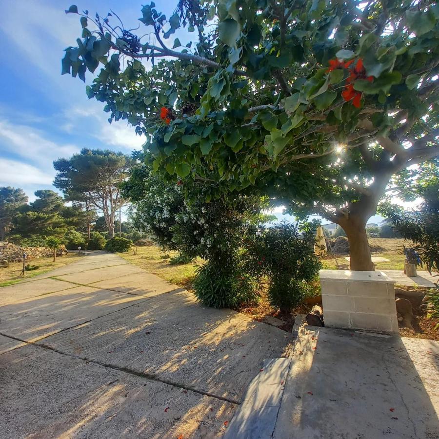 Villa Sogni Nel Blu Favignana Exterior foto