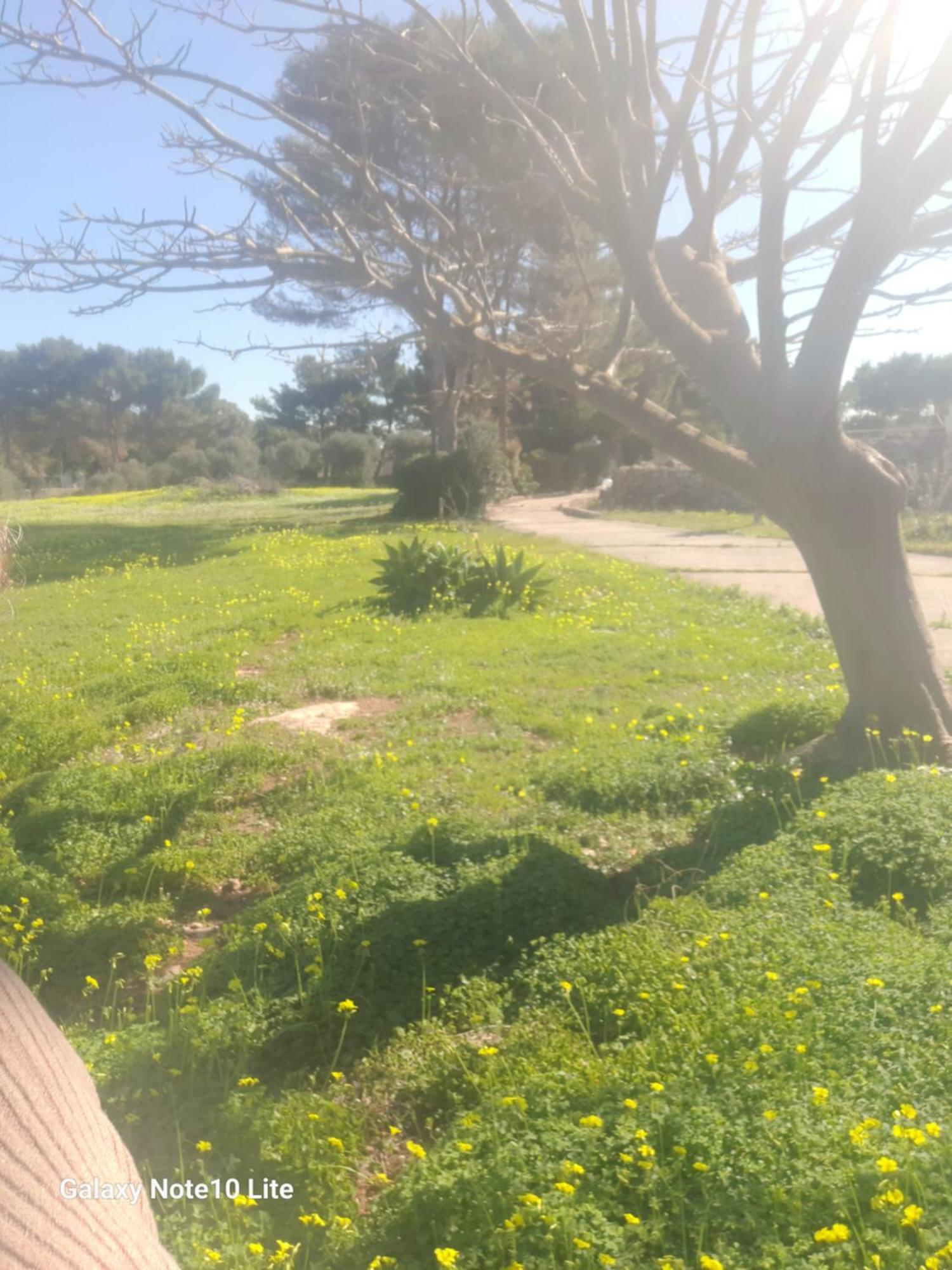 Villa Sogni Nel Blu Favignana Exterior foto