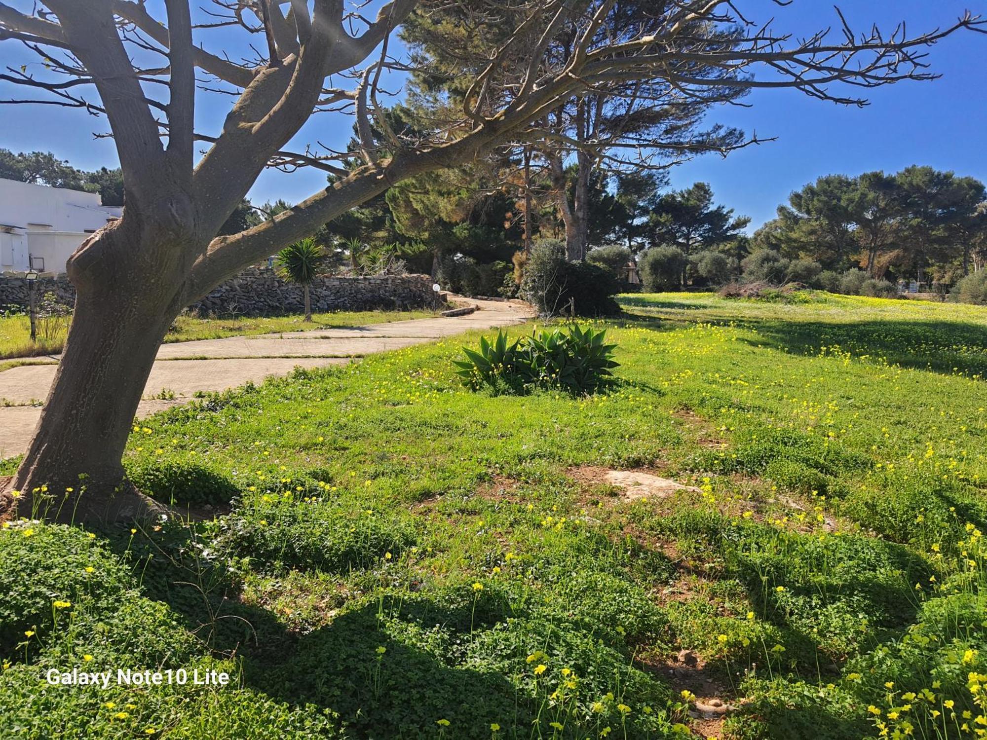 Villa Sogni Nel Blu Favignana Exterior foto