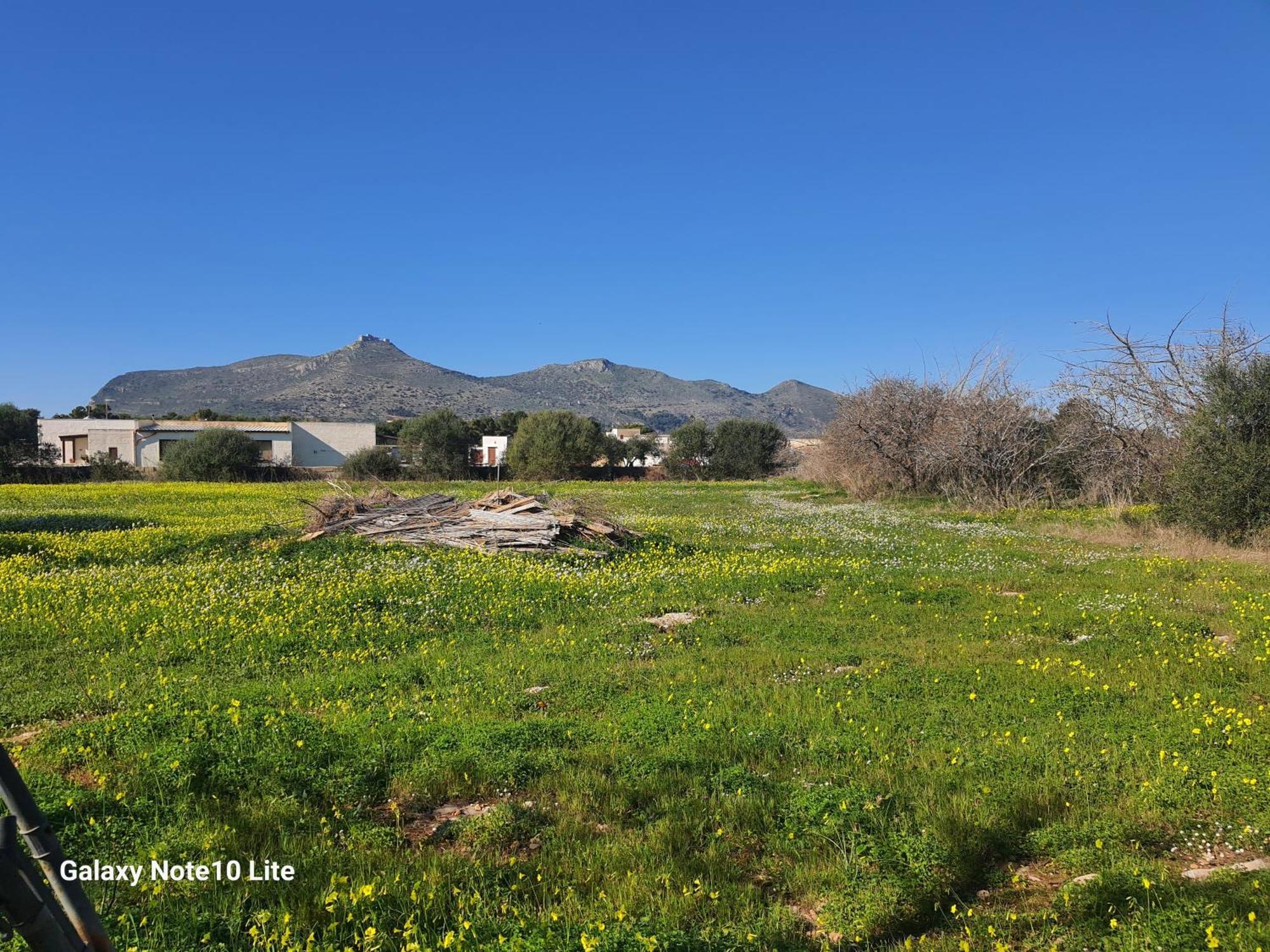 Villa Sogni Nel Blu Favignana Exterior foto
