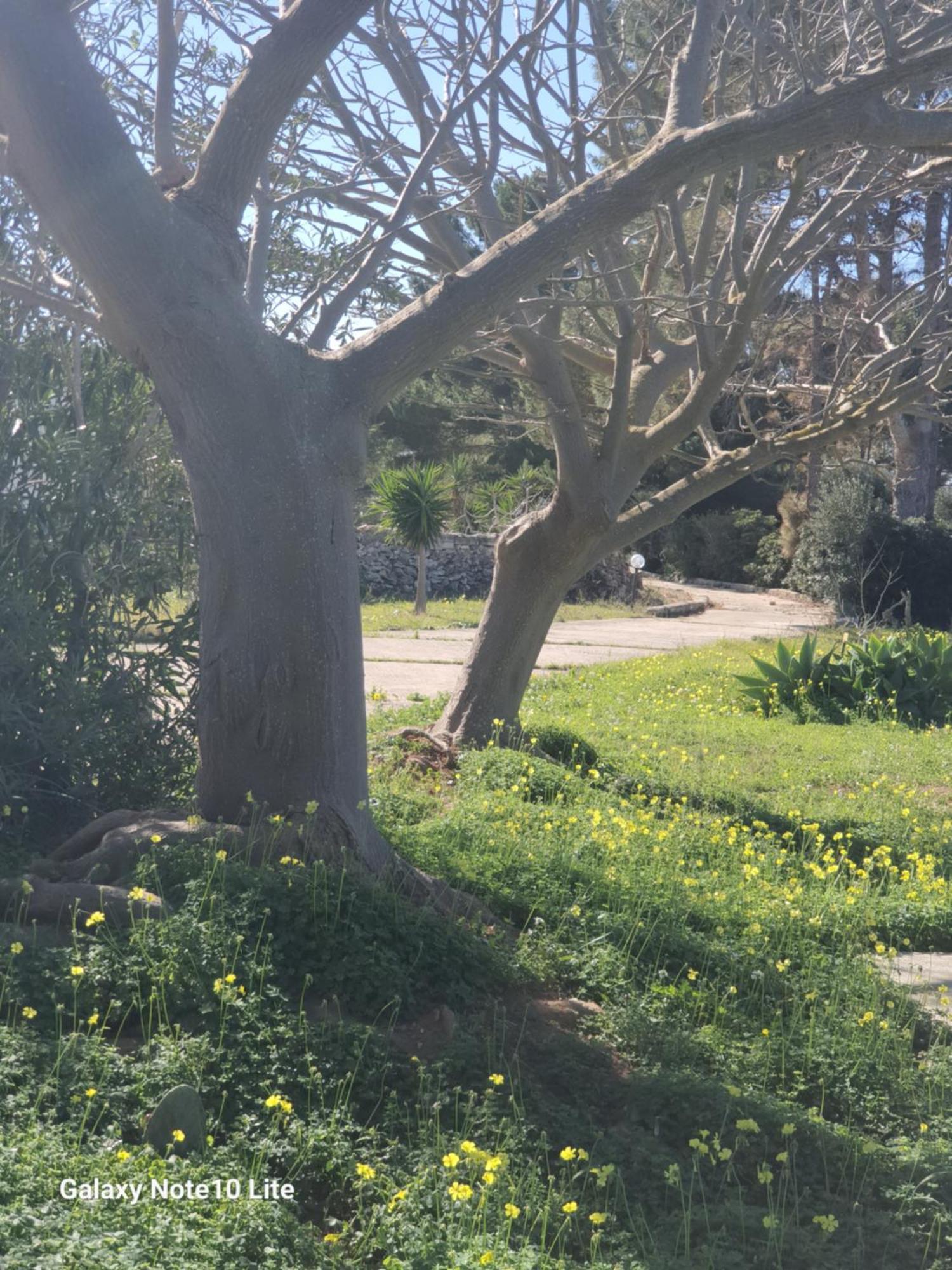 Villa Sogni Nel Blu Favignana Exterior foto