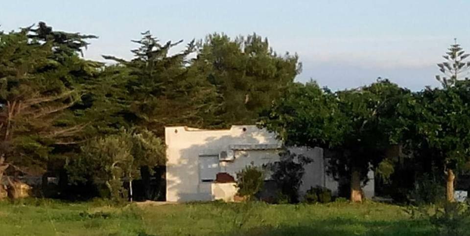 Villa Sogni Nel Blu Favignana Exterior foto